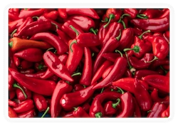 Andalusian Red Pepper