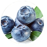 Blueberry Extract
