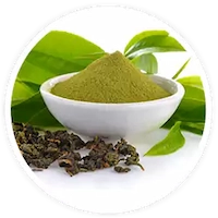 Green Tea Leaf Extract